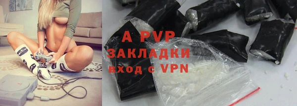 прущие грибы Невель