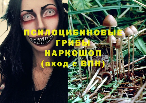 дмт Покров
