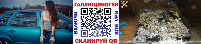 купить закладку  Урус-Мартан  OMG маркетплейс  Галлюциногенные грибы прущие грибы 