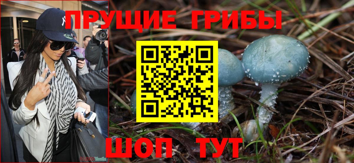 Псилоцибиновые грибы GOLDEN TEACHER  Вход с VPN  Галлюциногенные грибы Cubensis  Урус-Мартан 
