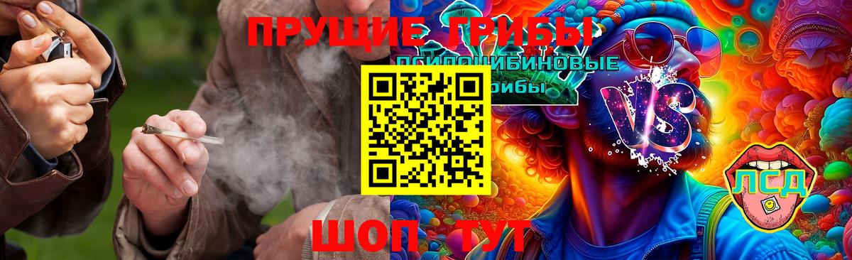 Галлюциногенные грибы MAGIC MUSHROOMS  цены   Урус-Мартан 